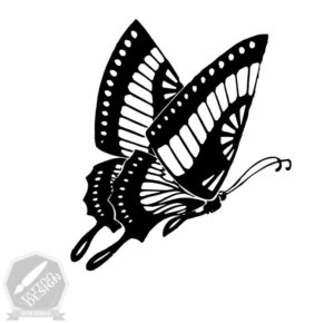 دیزاین و طرح اصلی پروانه